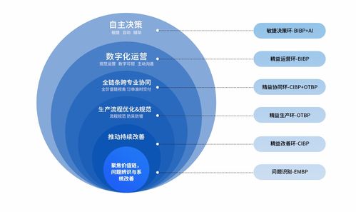 “愛波瑞”與網絡技術服務 洞察溫州前沿產品與服務生態